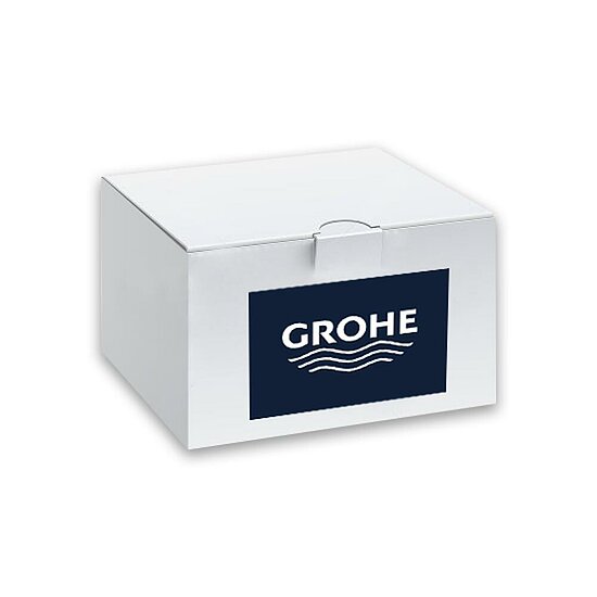 Silverflex Brauseschlauch, GROHE